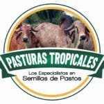 semillas de pastos para clima frio