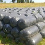 como hacer ensilaje para ganado