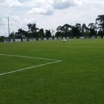 semillas de grama para canchas de futbol