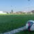 semillas de pasto para canchas de futbol