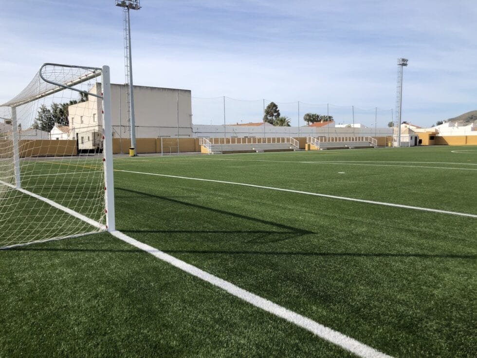 semillas de pasto para canchas de futbol 6