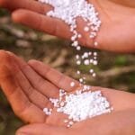 uso de urea en ganado bovino