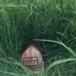 Diferencias estrella mejorado gaucho