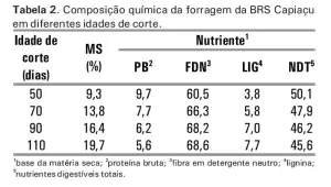 Valor nutricional capiazu