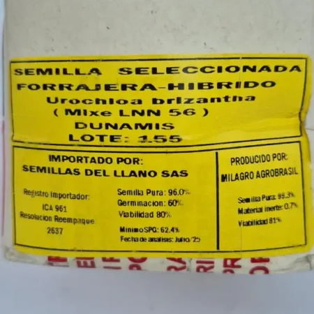 bolsa x 2 K semilla pasto Dunamis