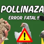 pollinaza para ganado riesgos