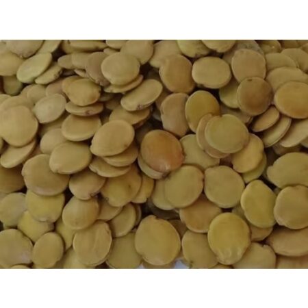 Semillas de Matarratón Gliricidia sepium para siembra